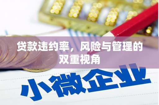 武清贷款违约率，风险与管理的双重视角