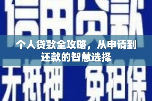廉江个人贷款全攻略，从申请到还款的智慧选择