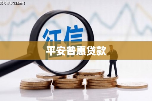 吴忠平安普惠贷款