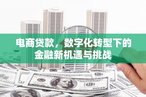 太平电商贷款，数字化转型下的金融新机遇与挑战