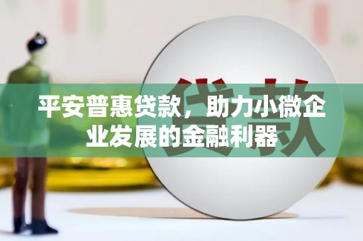华龙平安普惠贷款，助力小微企业发展的金融利器