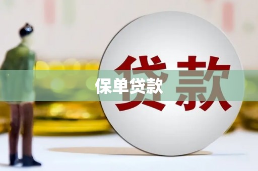 博湖保单贷款