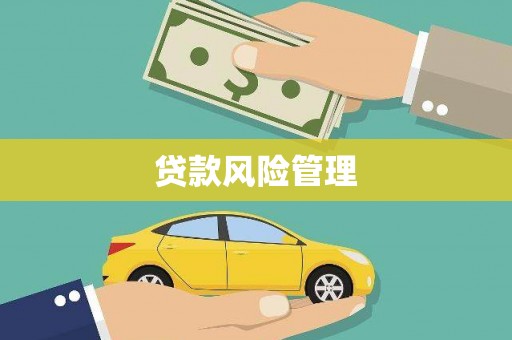 腾冲贷款风险管理