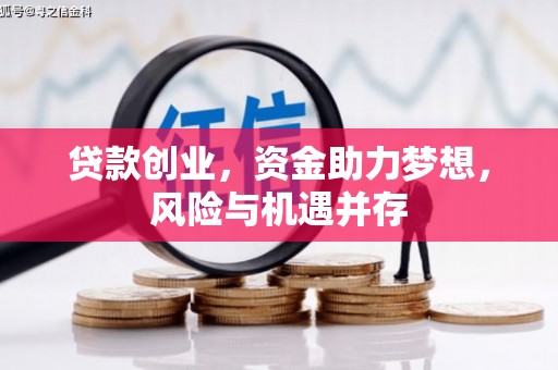 南宫贷款创业，资金助力梦想，风险与机遇并存