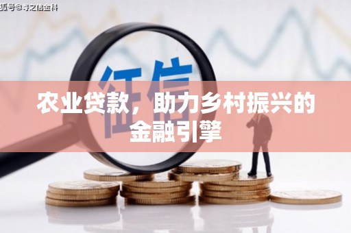 辛集农业贷款，助力乡村振兴的金融引擎