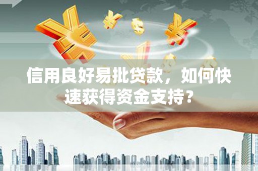 西吉信用良好易批贷款，如何快速获得资金支持？