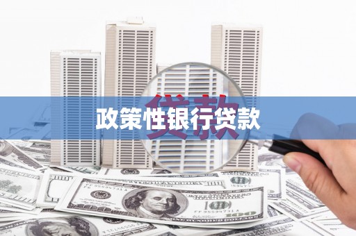 后里政策性银行贷款