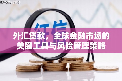 崇州外汇贷款，全球金融市场的关键工具与风险管理策略
