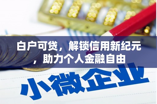 龙文白户可贷，解锁信用新纪元，助力个人金融自由