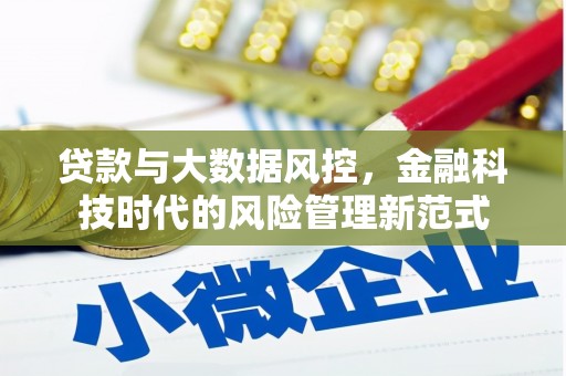 定远贷款与大数据风控，金融科技时代的风险管理新范式