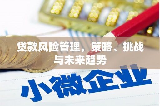 玄武贷款风险管理，策略、挑战与未来趋势