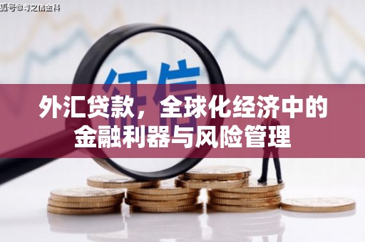 来宾外汇贷款，全球化经济中的金融利器与风险管理