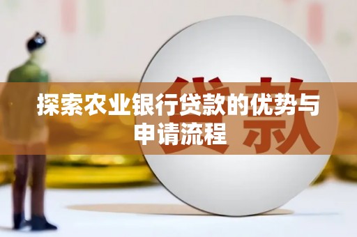 盐田探索农业银行贷款的优势与申请流程