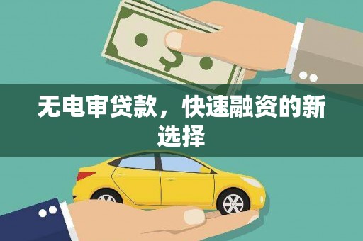 田林无电审贷款，快速融资的新选择