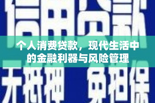 沙洋个人消费贷款，现代生活中的金融利器与风险管理