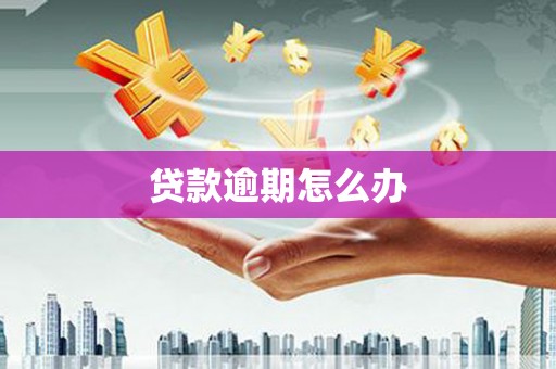 吴堡贷款逾期怎么办