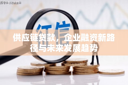 隆尧供应链贷款，企业融资新路径与未来发展趋势