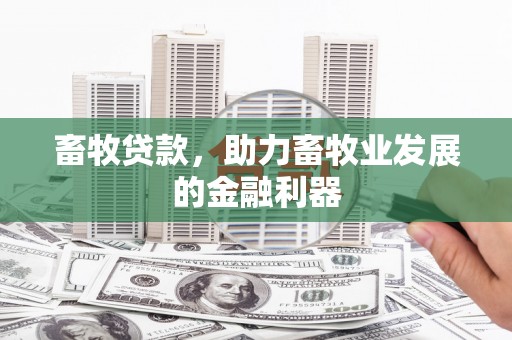三乡畜牧贷款，助力畜牧业发展的金融利器