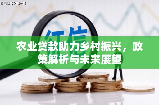 霍山农业贷款助力乡村振兴，政策解析与未来展望