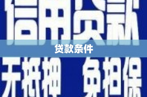 水林贷款条件