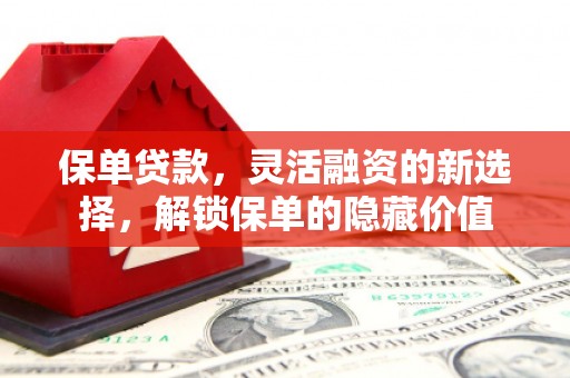 山上保单贷款，灵活融资的新选择，解锁保单的隐藏价值