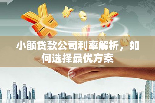 广宗小额贷款公司利率解析，如何选择最优方案