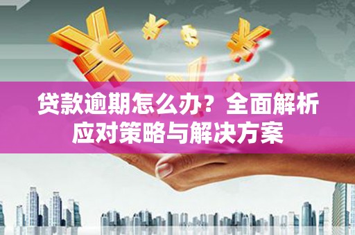 新田贷款逾期怎么办？全面解析应对策略与解决方案