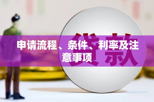 望奎申请流程、条件、利率及注意事项