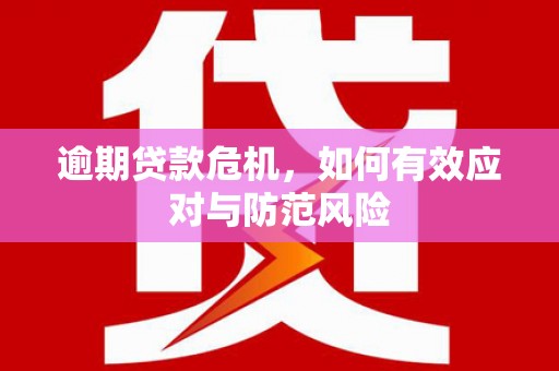 西峡逾期贷款危机，如何有效应对与防范风险