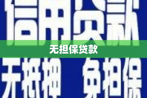 上林无担保贷款