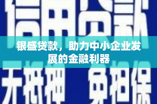 安化银盛贷款，助力中小企业发展的金融利器