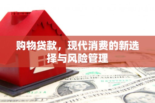 海原购物贷款，现代消费的新选择与风险管理