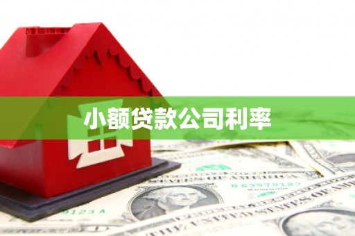 抚州小额贷款公司利率