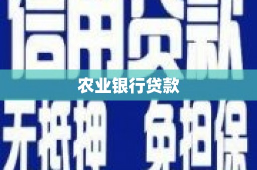 秀林农业银行贷款