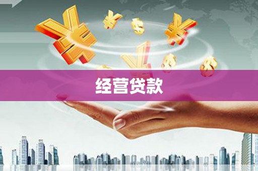 博湖经营贷款