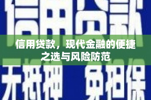 延平信用贷款，现代金融的便捷之选与风险防范