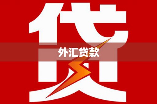 临朐外汇贷款