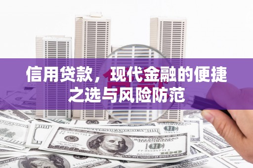 大甲信用贷款，现代金融的便捷之选与风险防范