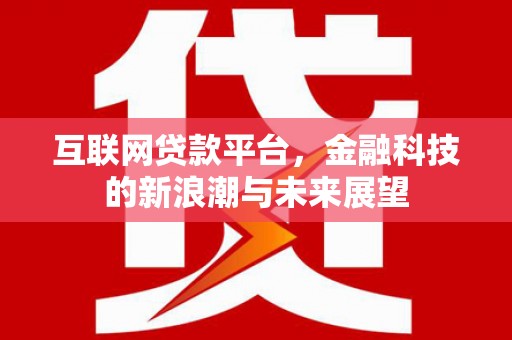 湖北互联网贷款平台，金融科技的新浪潮与未来展望