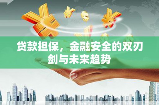 平南贷款担保，金融安全的双刃剑与未来趋势