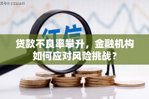 乐亭贷款不良率攀升，金融机构如何应对风险挑战？