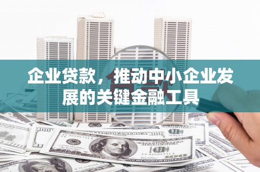 泽普企业贷款，推动中小企业发展的关键金融工具