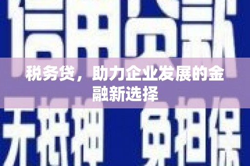 代县税务贷，助力企业发展的金融新选择