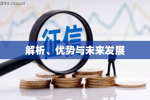 凤泉解析、优势与未来发展