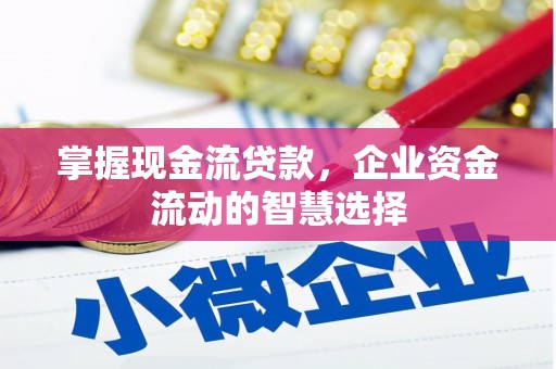 凤泉掌握现金流贷款，企业资金流动的智慧选择