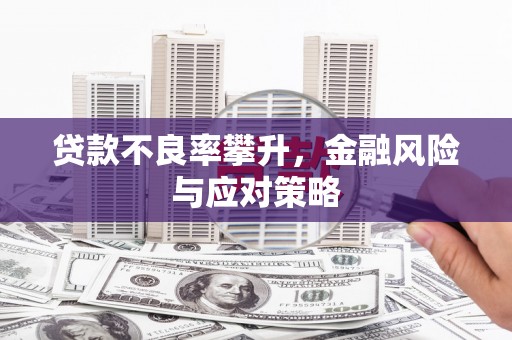 荥经贷款不良率攀升，金融风险与应对策略