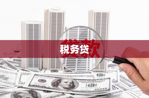 宁波税务贷