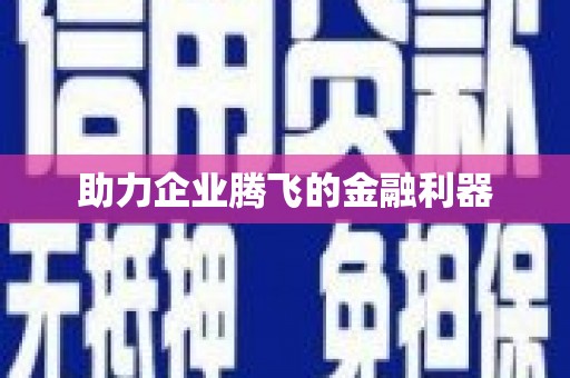 黔东南助力企业腾飞的金融利器