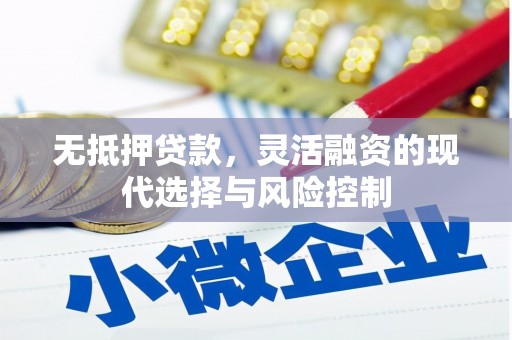 杭州无抵押贷款，灵活融资的现代选择与风险控制