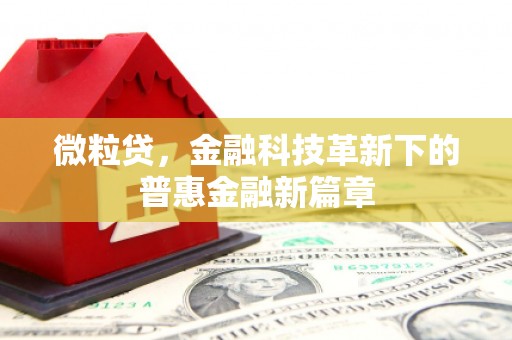 湖内微粒贷，金融科技革新下的普惠金融新篇章